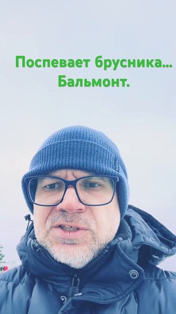 Поспевает брусника… #поэзия #жизнь #жизнькакмиг #стихи #carpediem #любовь #бальмонт