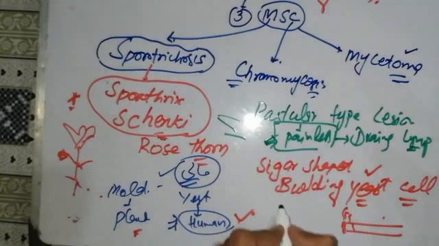 Cutaneous and Subcutaneous mycoses. 🛑 🛑 Lecture #6 #mycology. Chap 48 #microbiology #sporotrichosis