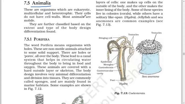 #7 DIVERSITY IN LIVING ORGANISMS-NCERT-CLASS IX-SCIENCE(SCIENCE)