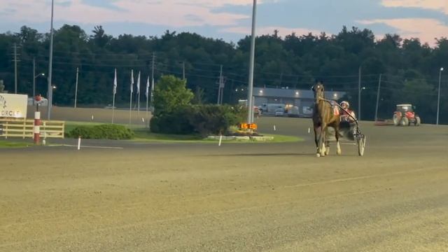 Horse Racing in Canada | Indian In Canada Vlog | Woodbine Racetrack | Indian Youtuber