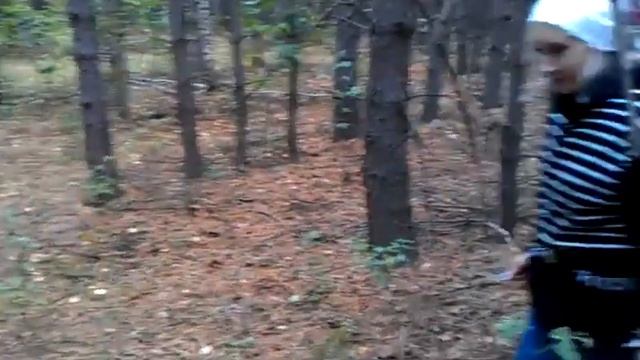 Сбор грибов на Урале