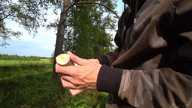 ТЕПЛЫЙ ЛЕТНИЙ ДЕНЬ ЗА 5-МИН)Как Света думы думала!
