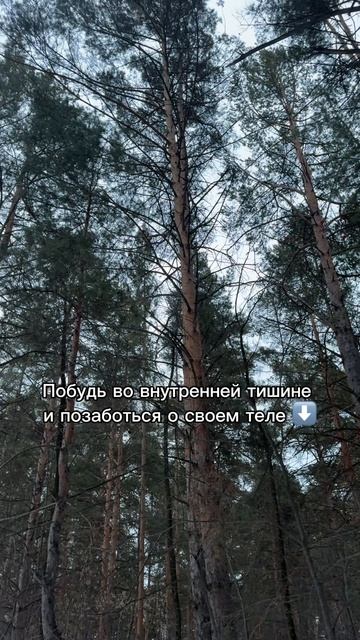 Что поможет телу:
- сон;
- расслабление;
- больше пить чистой воды;
- есть полезную и легкую пищу⬇️