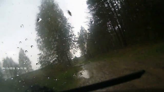 По грибы.