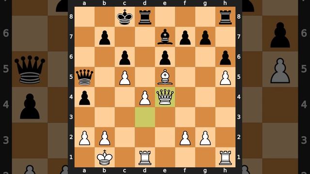 Anatoly Karpov-Bent Larsen, Amsterdam 1980, Result: 1-0