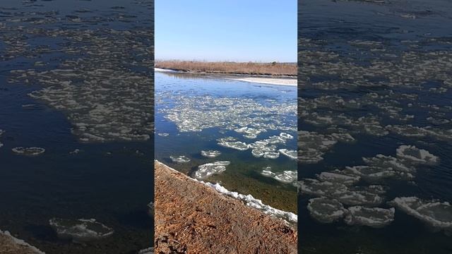 Китой, 4 ноября...