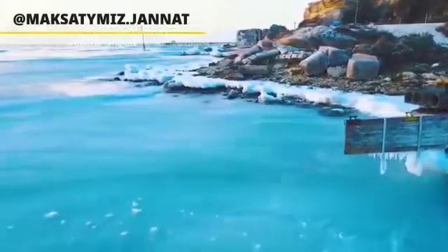 Отбасы туралы.