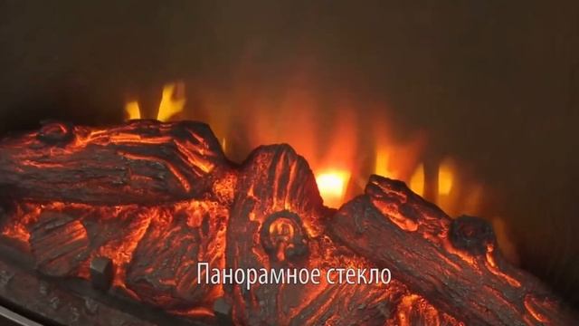 29 октября 2023 г.