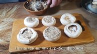 Шампиньоны Фаршированые Мясным Фаршем Запеченные в Духовке