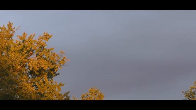Радуга с утра.