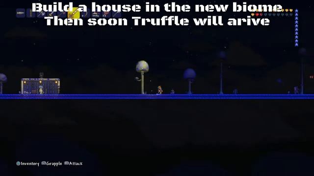 Terraria How To Get Truffle