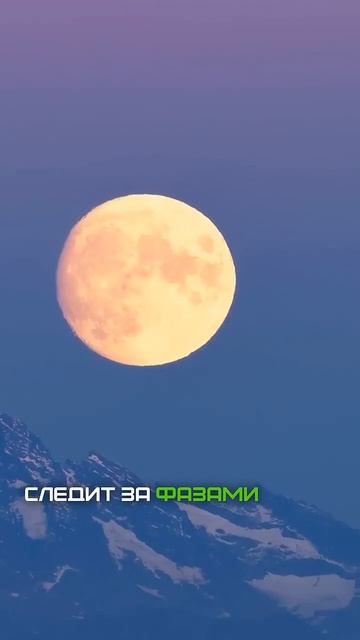 Почему китайцы празднуют НОВЫЙ ГОД позже?