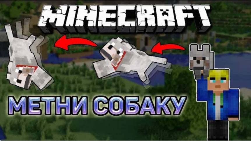 МЕТНИ СВОЮ СОБАКУ ВО ВРАГА В МАЙНКРАФТ | ОБЗОР МОДА MINECRAFT Dog Yeeter