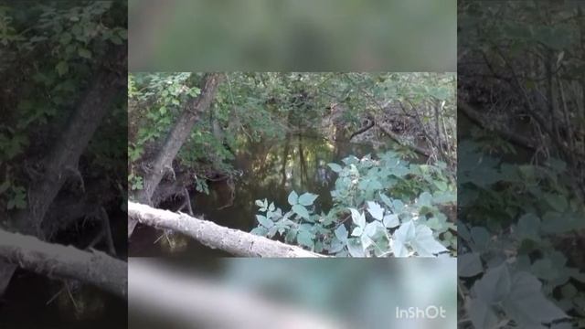 Стихотворение " Сказ об Антоновке. Мостки"