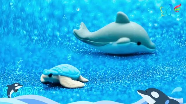 Dolphin-esque🐬, music therapy, dolphin relaxing music 😎, healing music no copyright, SQRC