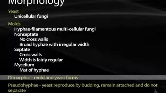 38 Mycology Structure and Growth