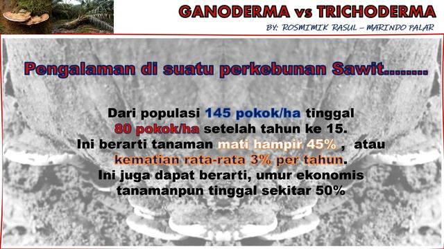 MENANGKAL SERANGAN JAMUR GANODERMA PADA KELAPA SAWIT