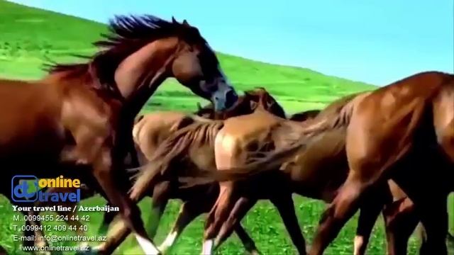 This Journey Never Ends! - Online Travel Azerbaijan / www.onlinetravel.az