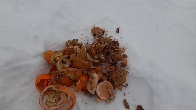 Подкармливаем квадроберов в дикой природе