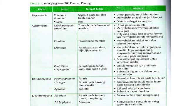 Deuteromycota      MATERI PJJ BIOLOGI SMA KELAS 10