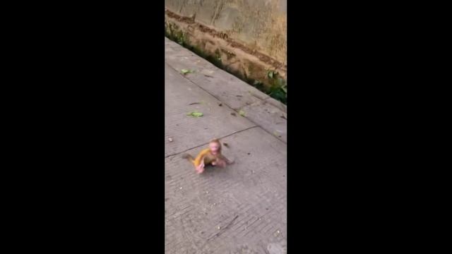 Один в поле не воин.