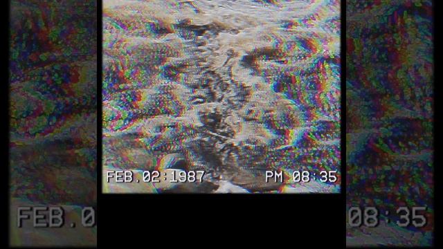 Воспомни лето 2024 года ☀️ #лето #карелия #insta360 #природа #воспоминания