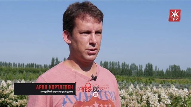 Розсадник «Корнеліс»: як двоє нідерландців створили успішний бізнес під Житомиром - Житомир.info