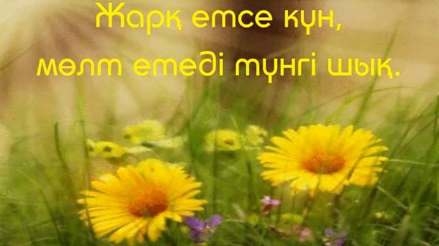 Арман Шеризат Көктем