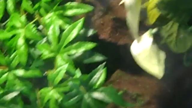 terrarium tour update