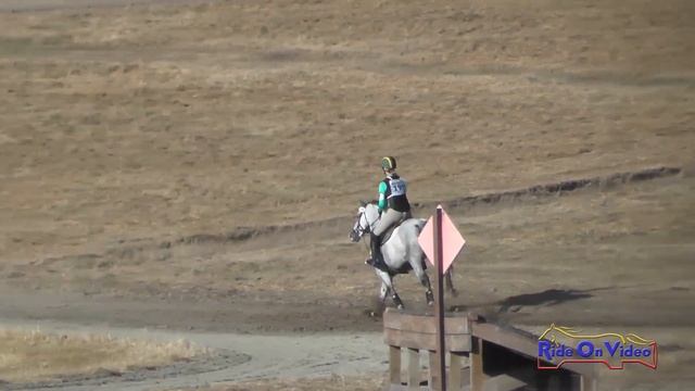 199XC Amanda Fisher on Euro R Novice Horse Cross Country Woodside August 2017