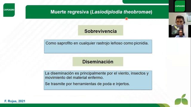 SOLUCIONES PARA EL CONTROL DE MUERTE REGRESIVA Y PODREDUMBRE RADICULAR EN EL CULTIVO DE ARÁNDANO