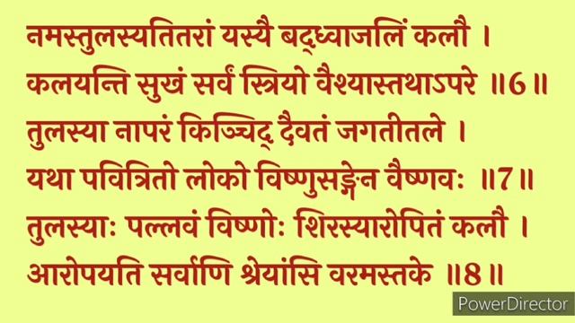 shri tulsi stotram|श्री तुलसी स्तोत्रम्| पुण्यदायनी तुलसी मां की सुन्दर स्तुति# तुलसीस्तोत्र