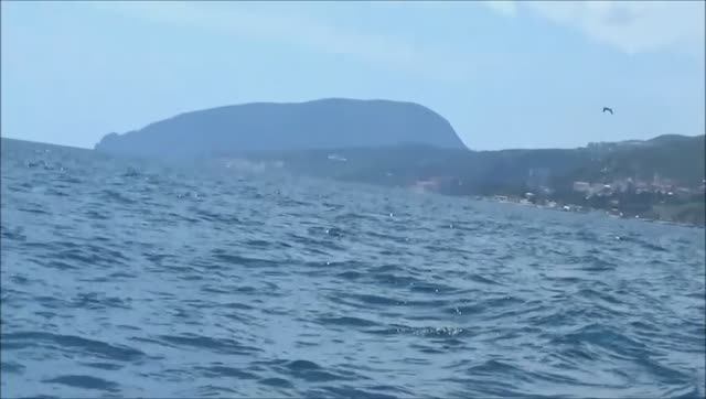 Рыбалка в Черном море на Ставриду