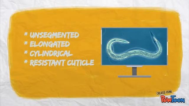 Parasitology "The Nematodes"