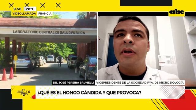 ¿Qué es el hongo candida auris?