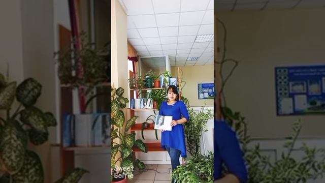 «Жыр бәйтерегі»