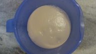 SACCHAROMYCES CEREVISIAE