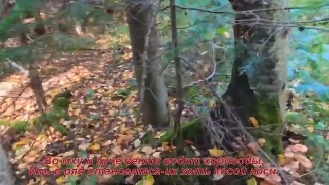 Грибной осеннею порою.