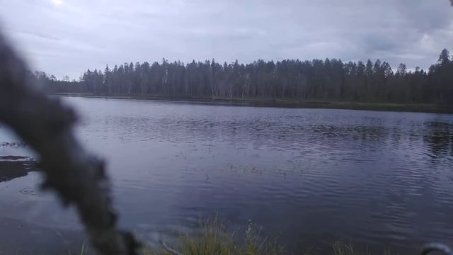 Валерій Шпичка Сезонная работа в Финляндии.