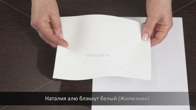 Наталия алю блэкаут белый (Жалюзник)