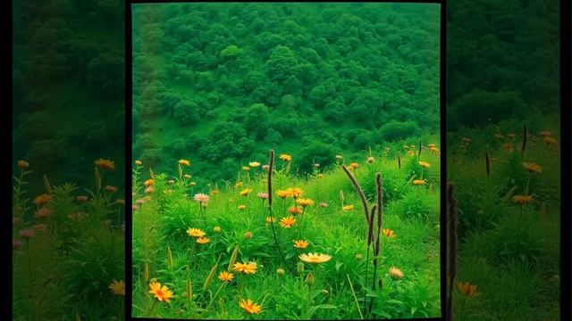 Топ моих любимых instrumental созданных через нейросеть #97