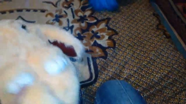 Зайчики, комета,Мипы и сова - мои мягкие игрушки