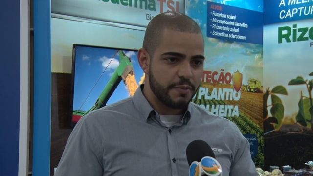 As novidades no uso do Trichoderma (agente biológico)para o tratamento de sementes