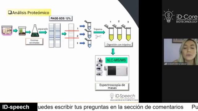 Producción de enzimas de interés comercial: quitinasas a partir de residuos de cangrejo y champiñón