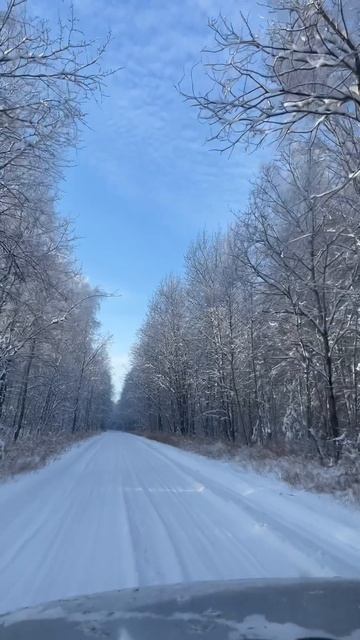 Холодно, но красиво