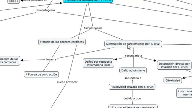 Caso Clínico Patología Infecciosa 2