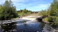 Шок!!! Что плавает в Лобвинском пруду? #ВИДЕОБЛОГ