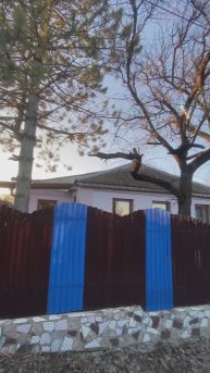 copy_137CEB5E-929A-474A-A93B-6B69B3557949