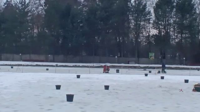Голицыно Fish
