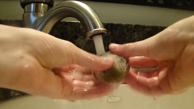 Cleaning Rocks for Pet Cages